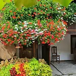 за гости The Old House Hotel 3*