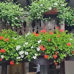 за гости The Old House 3* Velingrado