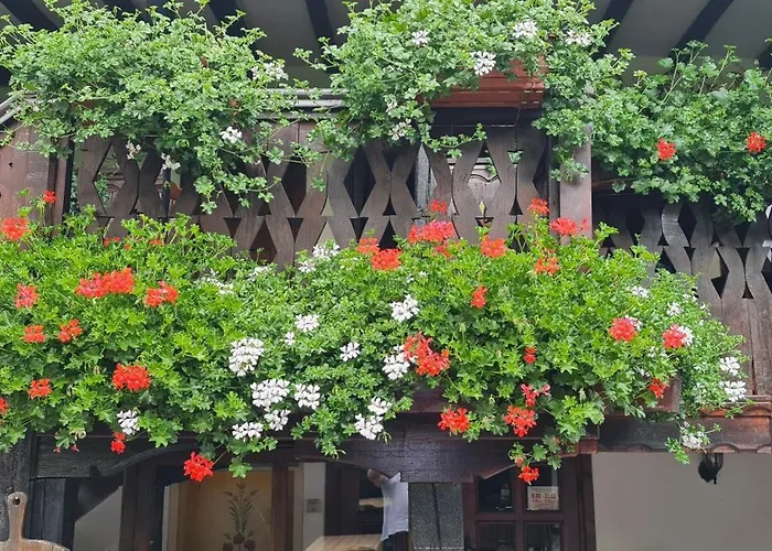 за гости The Old House 3* ヴェリングラード